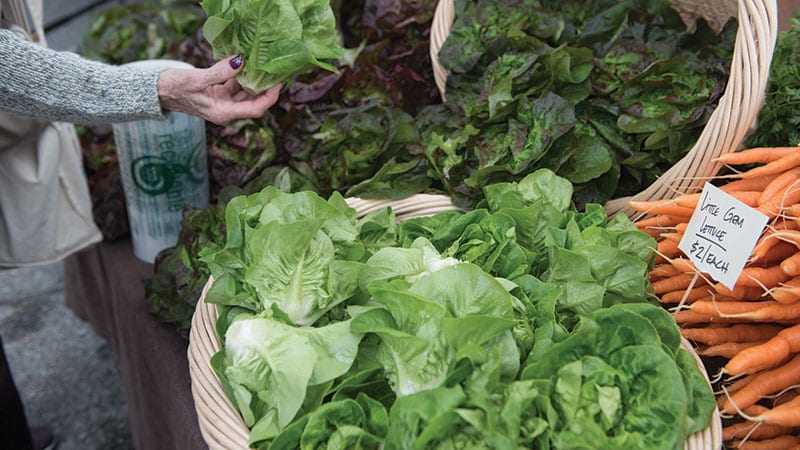 Fresh vegetables at a Farmers Market.