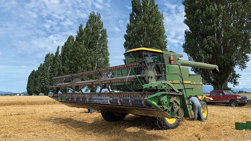 Wheat Tractor at Cairnspring Farm