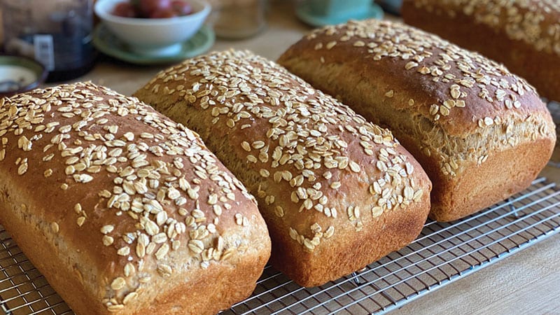 Baked Oat loaves by Nancy Leson