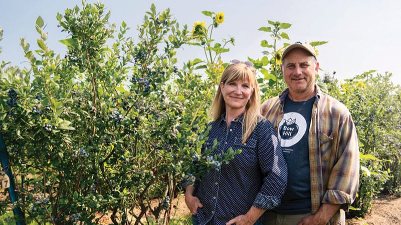 Bow Hill Farm. Photo credit: Bow Hill Blueberries