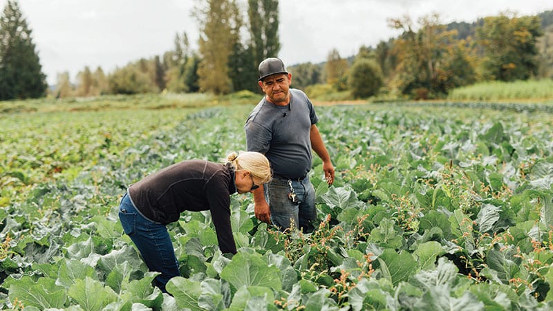 Four Elements Farm. Photo credit: Rylea Foehl