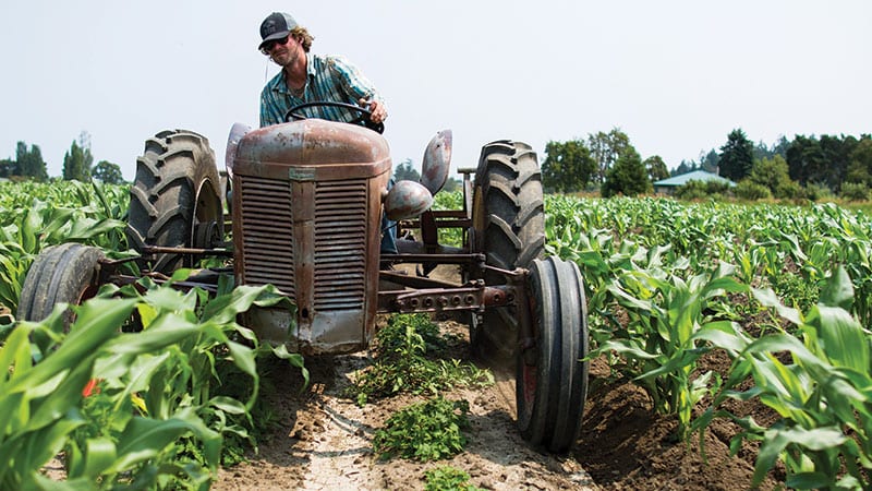 Tractor on Nash's Organic Produce Farm.