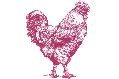 Policy Report: Court actions on GMO food labeling