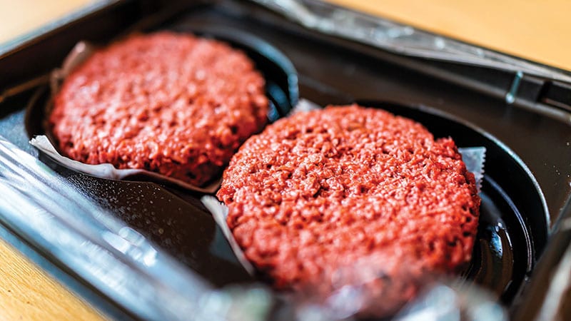 Alternative meat patties