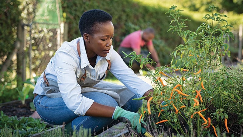 Diverse woman farming