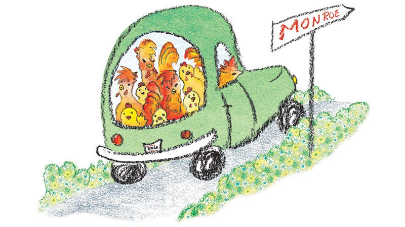 Count your chickens…