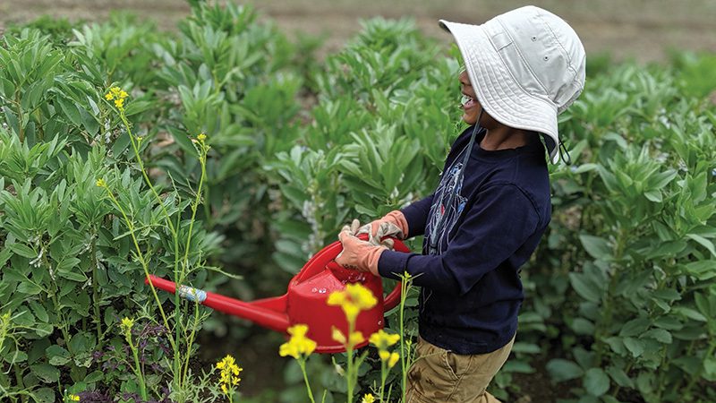 Farm kid